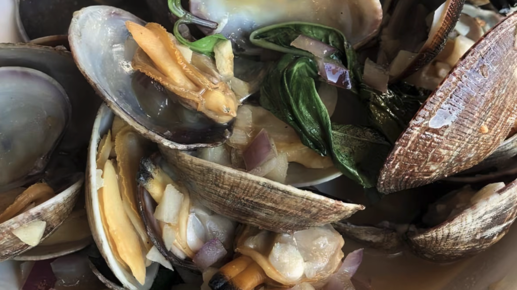 manilla clams