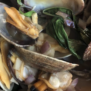 LIVE MANILA CLAMS